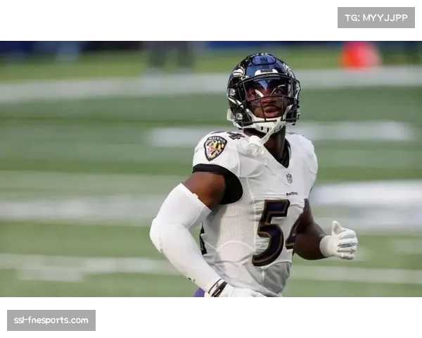 乌鸦客场击败布朗 安德鲁斯35码冲球达阵制胜